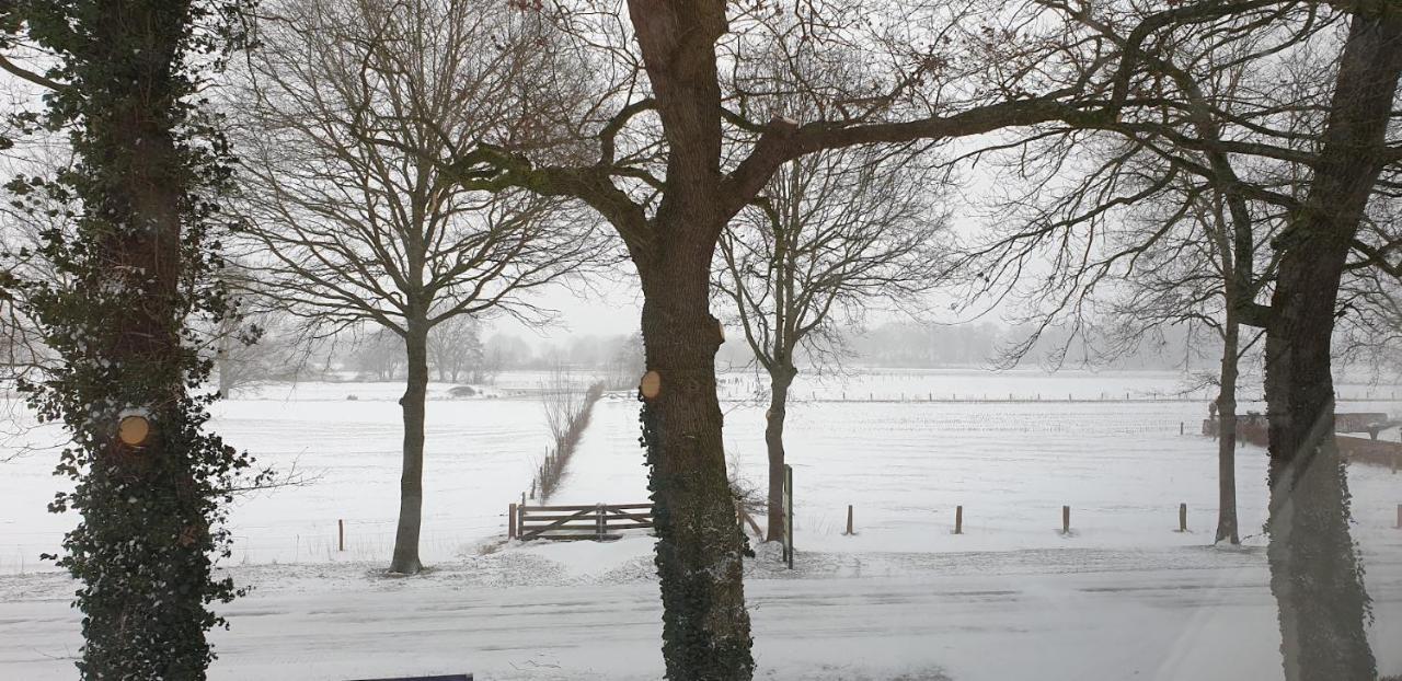 B&B Het Nijenhuis Diffelen Exteriér fotografie